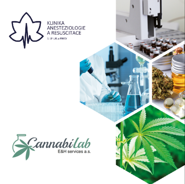 Seminář pro lékaře a farmaceuty - KAR FNKV (Centrum léčby bolesti KAR FNKV)/20. 3. 2025/15:00 hod.